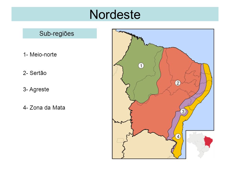 Zona da Mata: quadro natural e características [resumo]