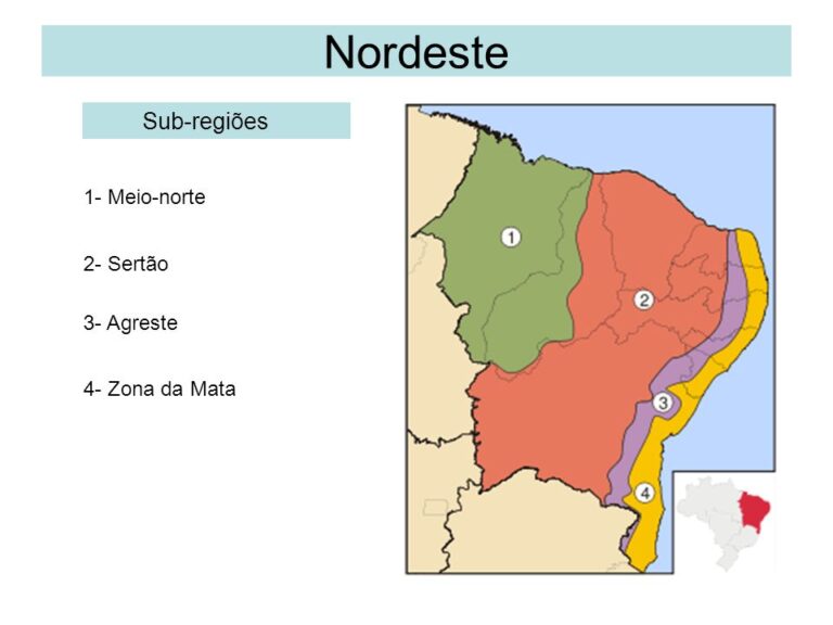 Zona Da Mata: Quadro Natural E Características [resumo]