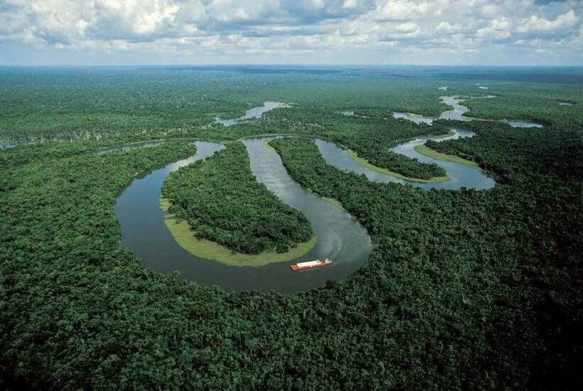 Floresta Equatorial características clima e abrangência resumo