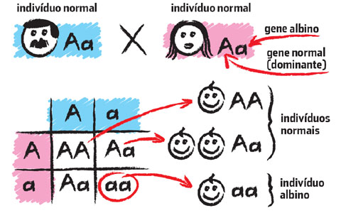 Genes Dominantes E Recessivos: Resumo Completo