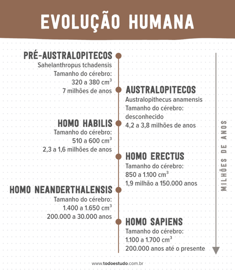 Evolução humana segundo a teoria, os seres humanos vieram do macaco