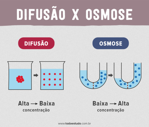 Osmose